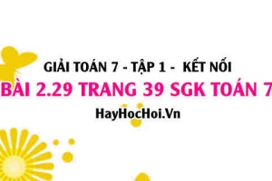 Giải bài 2.29 trang 39 Toán 7 Tập 1 SGK Kết nối tri thức